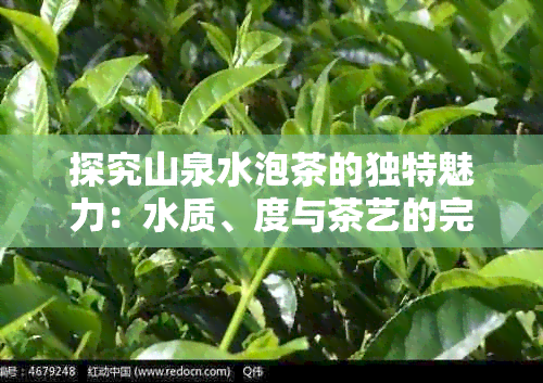 探究山泉水泡茶的独特魅力：水质、度与茶艺的完美融合