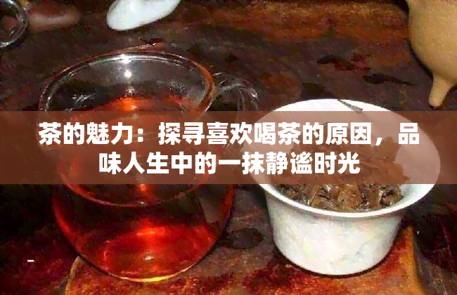 茶的魅力：探寻喜欢喝茶的原因，品味人生中的一抹静谧时光