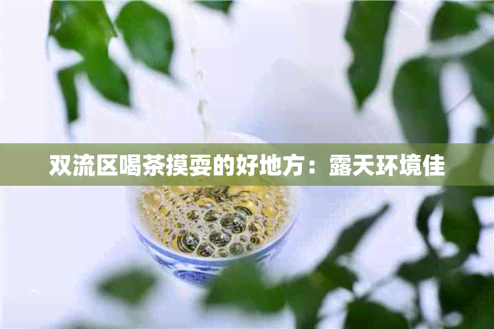 双流区喝茶摸耍的好地方：露天环境佳