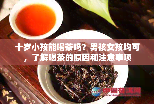 十岁小孩能喝茶吗？男孩女孩均可，了解喝茶的原因和注意事项