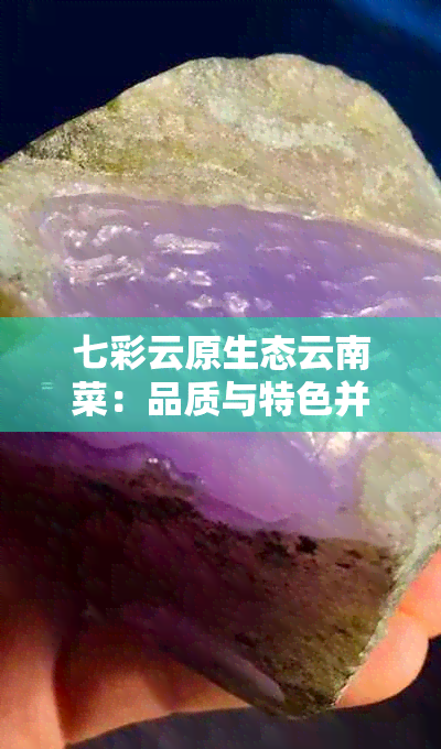 七彩云原生态云南菜：品质与特色并重的饭店推荐及菜品解析