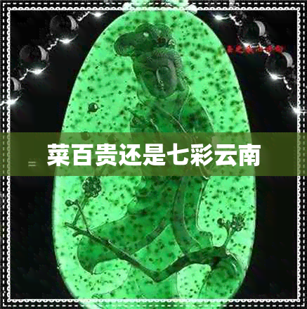 菜百贵还是七彩云南