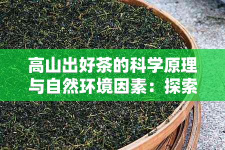 高山出好茶的科学原理与自然环境因素：探索茶叶品质的关键