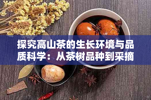 探究高山茶的生长环境与品质科学：从茶树品种到采摘工艺的全方位解读