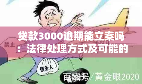 贷款3000逾期能立案吗：法律处理方式及可能的起诉风险