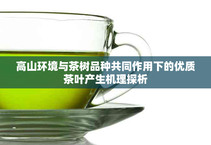 高山环境与茶树品种共同作用下的优质茶叶产生机理探析