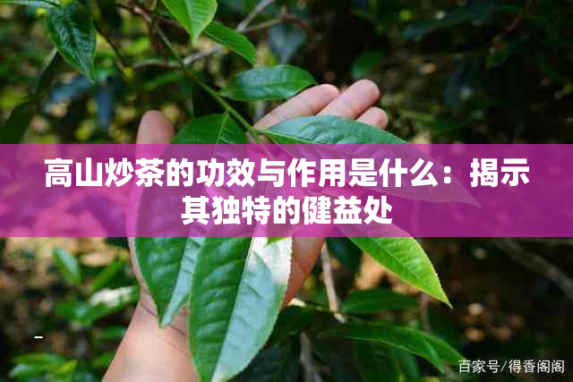 高山炒茶的功效与作用是什么：揭示其独特的健益处