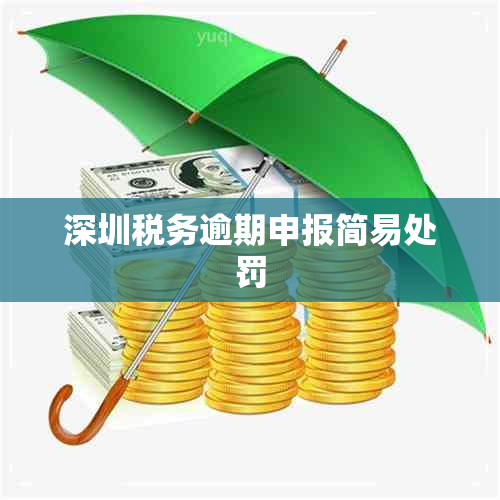 深圳税务逾期申报简易处罚