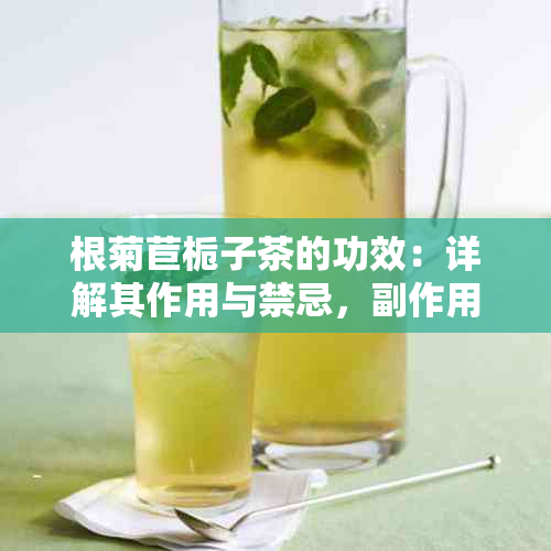 根菊苣栀子茶的功效：详解其作用与禁忌，副作用也不可忽视