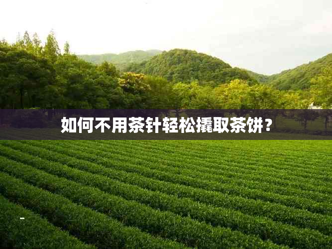 如何不用茶针轻松撬取茶饼？