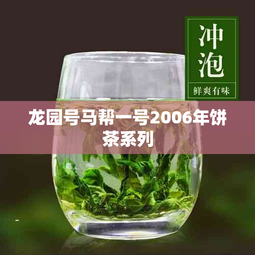 龙园号马帮一号2006年饼茶系列