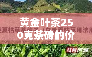 黄金叶茶250克茶砖的价格：每一块，每一个，一包。