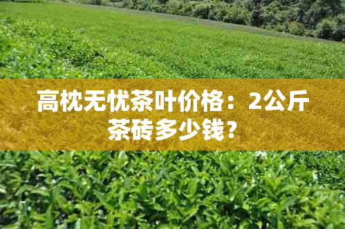 高枕无忧茶叶价格：2公斤茶砖多少钱？