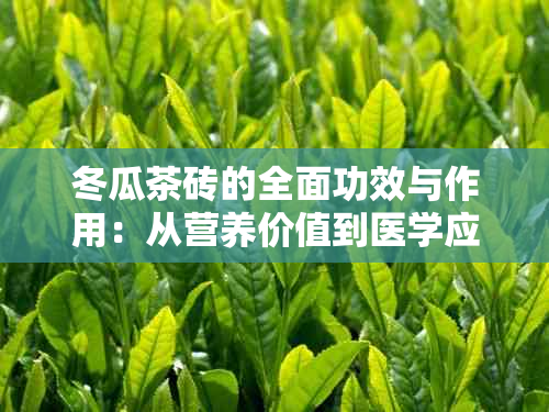 冬瓜茶砖的全面功效与作用：从营养价值到医学应用，一文解析