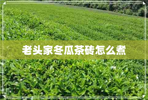 老头家冬瓜茶砖怎么煮