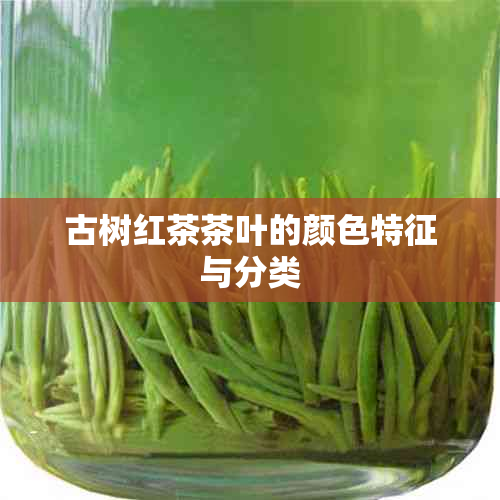 古树红茶茶叶的颜色特征与分类