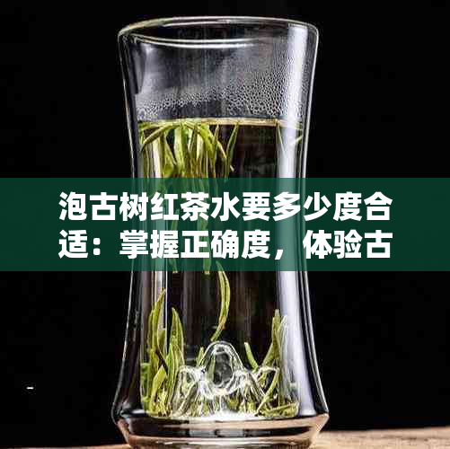 泡古树红茶水要多少度合适：掌握正确度，体验古树红茶的醇厚口感