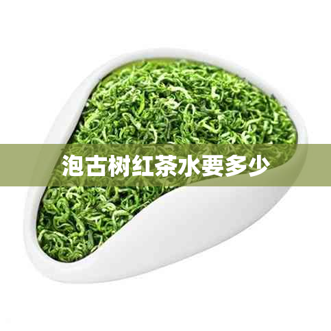 泡古树红茶水要多少