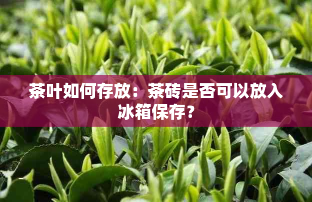 茶叶如何存放：茶砖是否可以放入冰箱保存？