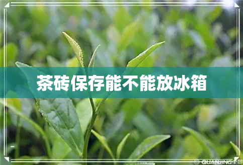 茶砖保存能不能放冰箱