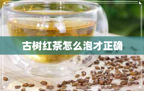 古树红茶怎么泡才正确