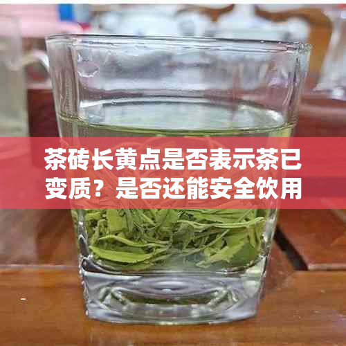 茶砖长黄点是否表示茶已变质？是否还能安全饮用？如何处理？