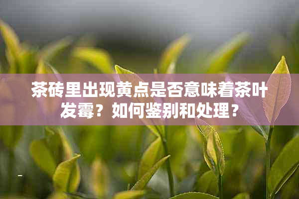 茶砖里出现黄点是否意味着茶叶发霉？如何鉴别和处理？