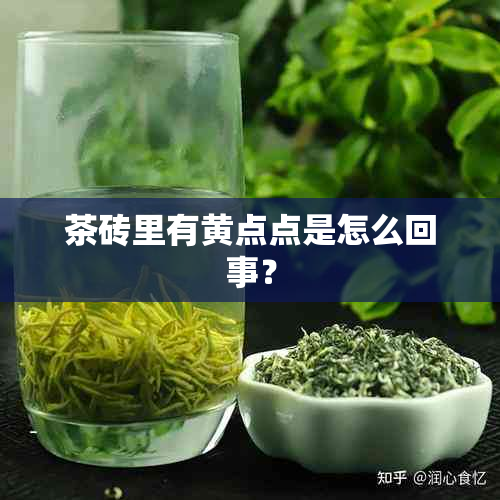 茶砖里有黄点点是怎么回事？