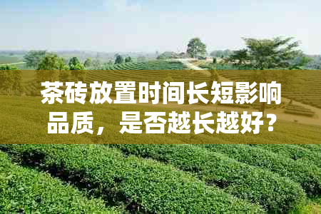 茶砖放置时间长短影响品质，是否越长越好？