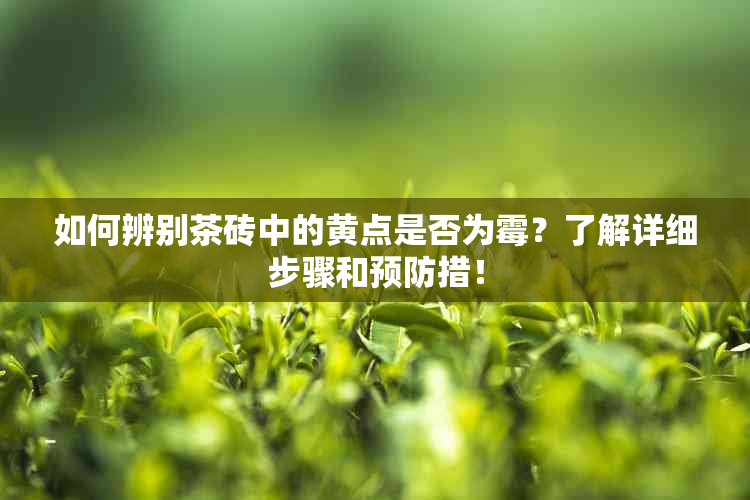 如何辨别茶砖中的黄点是否为霉？了解详细步骤和预防措！