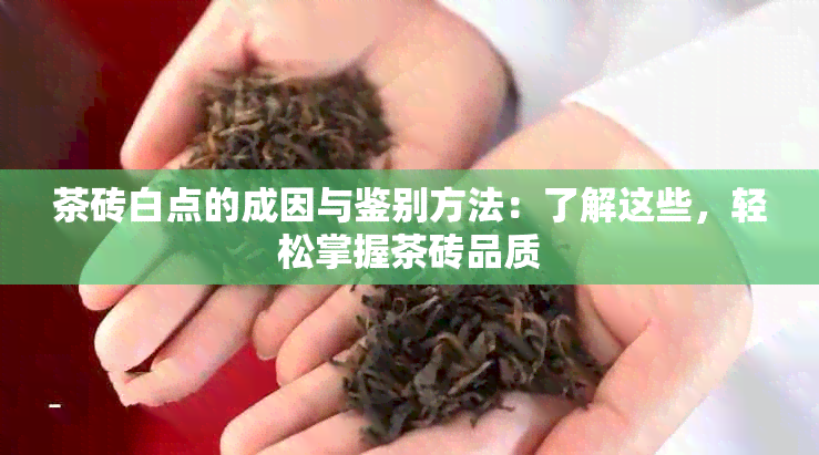 茶砖白点的成因与鉴别方法：了解这些，轻松掌握茶砖品质