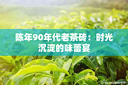 陈年90年代老茶砖：时光沉淀的味蕾宴