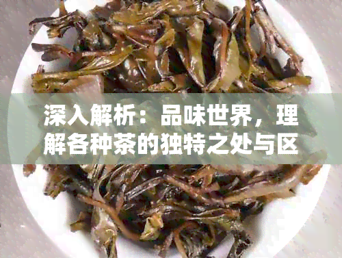 深入解析：品味世界，理解各种茶的独特之处与区别