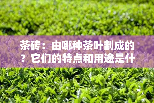 茶砖：由哪种茶叶制成的？它们的特点和用途是什么？