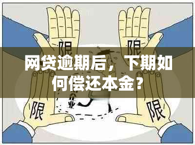 网贷逾期后，下期如何偿还本金？