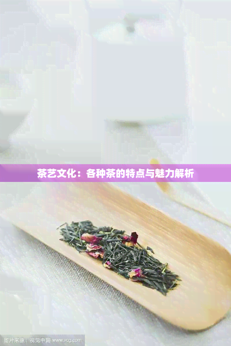 茶艺文化：各种茶的特点与魅力解析