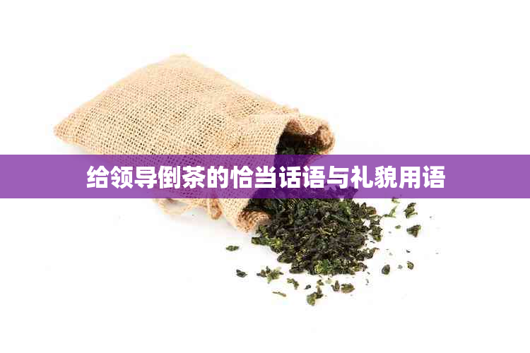 给领导倒茶的恰当话语与礼貌用语