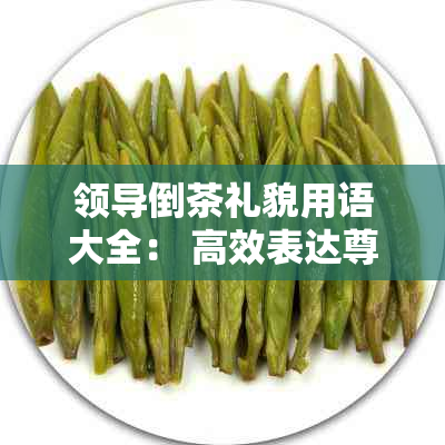 领导倒茶礼貌用语大全： 高效表达尊敬与关怀的短语