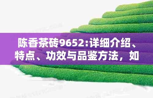 陈香茶砖9652:详细介绍、特点、功效与品鉴方法，如何选择购买以及泡茶技巧