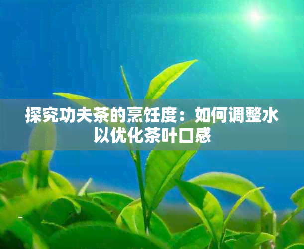 探究功夫茶的烹饪度：如何调整水以优化茶叶口感