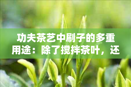 功夫茶艺中刷子的多重用途：除了搅拌茶叶，还有哪些神奇的作用？