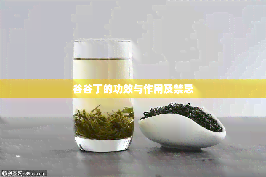 谷谷丁的功效与作用及禁忌