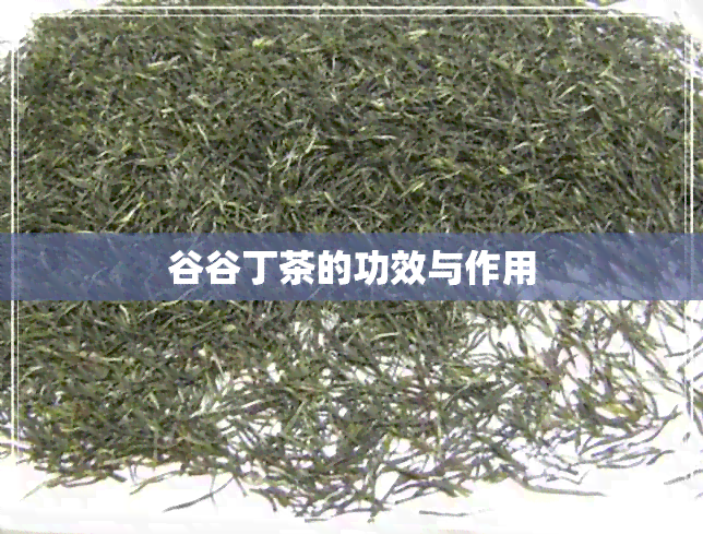 谷谷丁茶的功效与作用