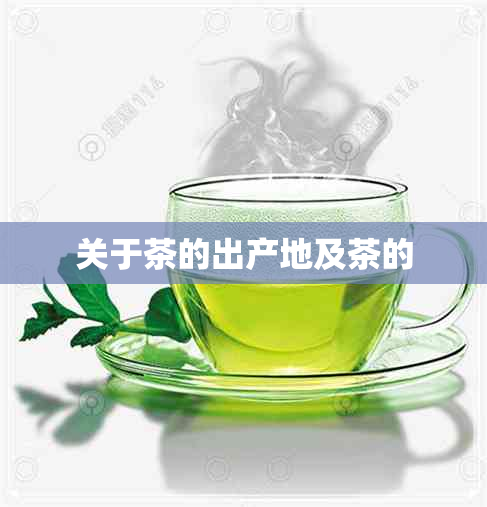 关于茶的出产地及茶的