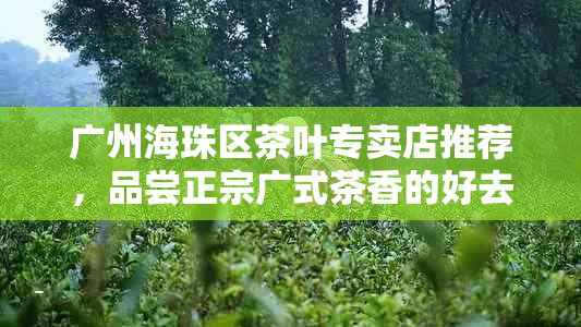 广州海珠区茶叶专卖店推荐，品尝正宗广式茶香的好去处