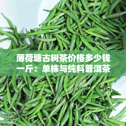 薄荷塘古树茶价格多少钱一斤：单株与纯料普洱茶解析