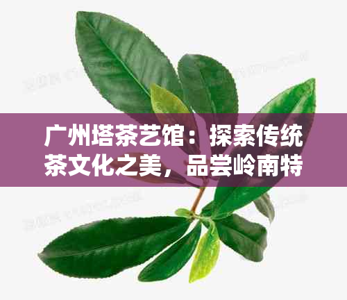 广州塔茶艺馆：探索传统茶文化之美，品尝岭南特色茶叶