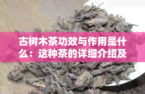 古树木茶功效与作用是什么：这种茶的详细介绍及相关效果。