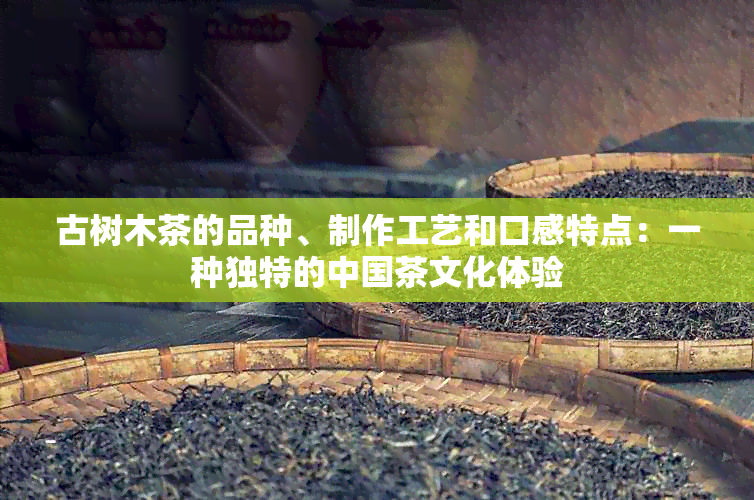 古树木茶的品种、制作工艺和口感特点：一种独特的中国茶文化体验