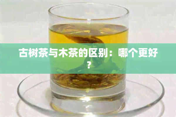 古树茶与木茶的区别：哪个更好？